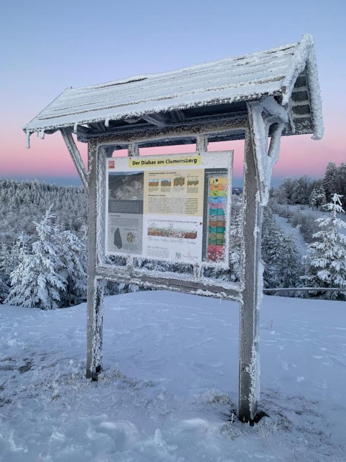 Aktiv-Ferienwohnung "Snow & Bike"- Zentral Zwischen Winterberg Und Willingen Exterior photo
